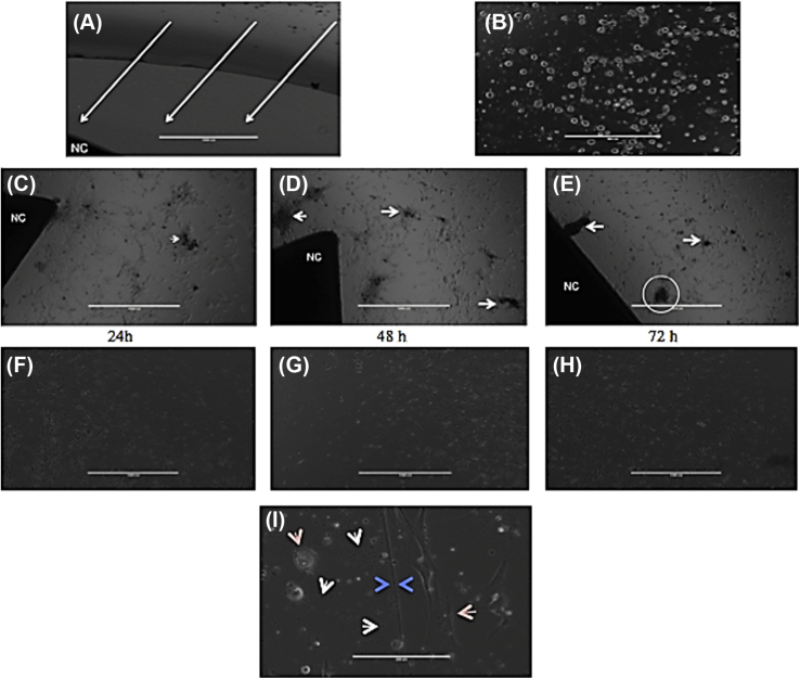 Figure 4