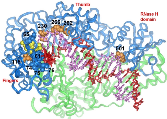 Figure 3.