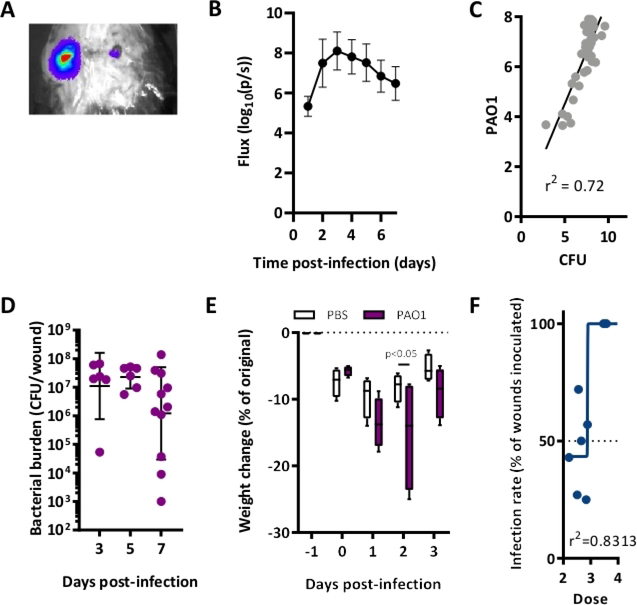 Figure 3: