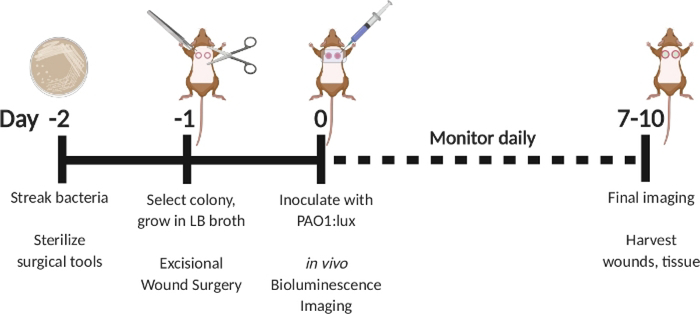 Figure 1: