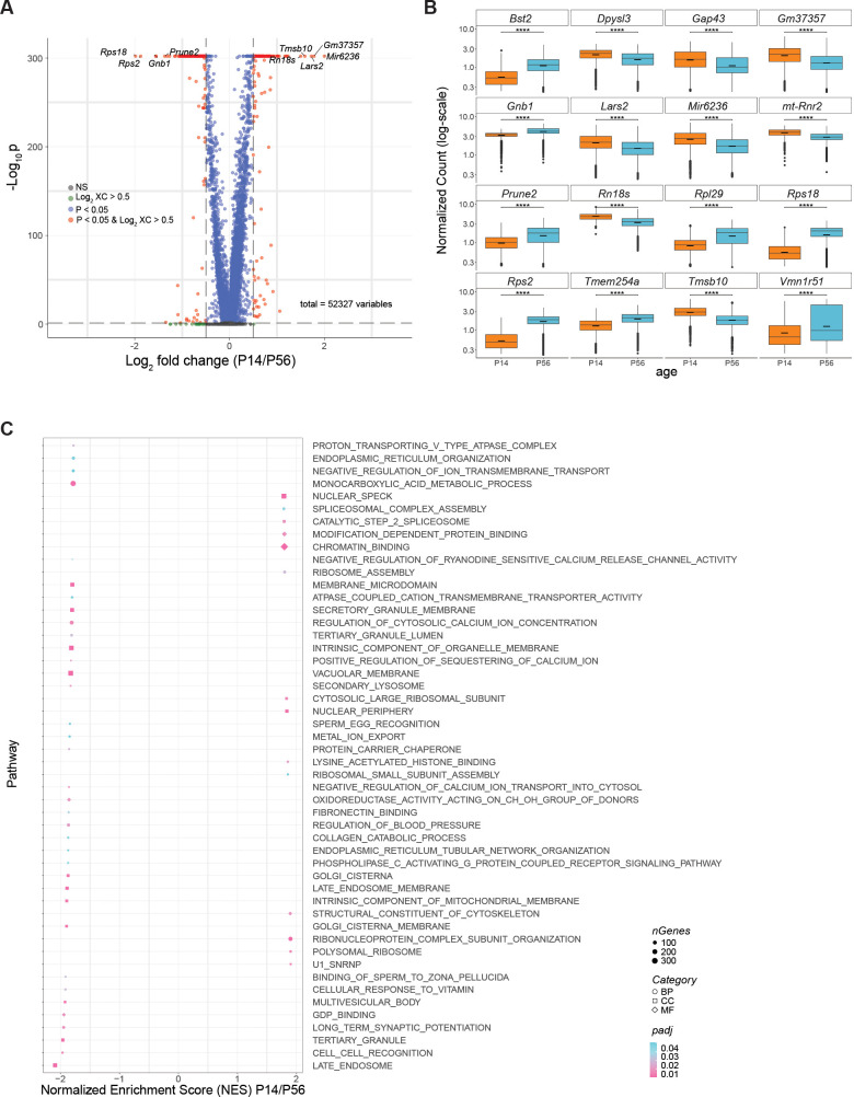 Figure 1—figure supplement 1.