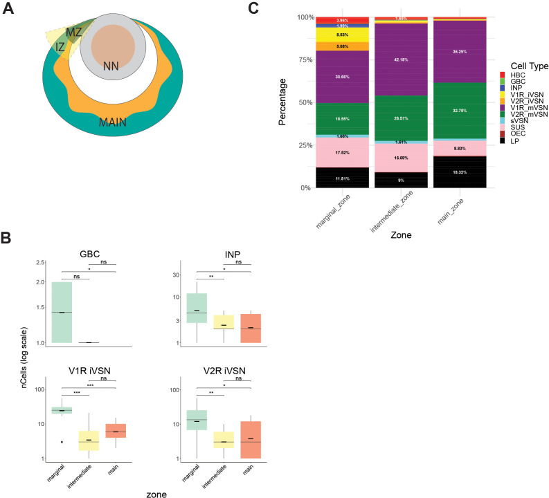 Figure 1—figure supplement 3.