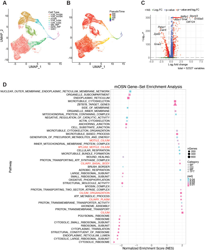 Figure 2—figure supplement 3.