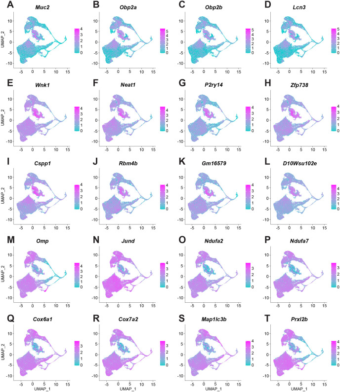 Figure 2—figure supplement 2.