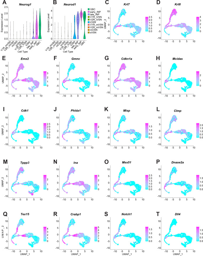 Figure 3—figure supplement 1.