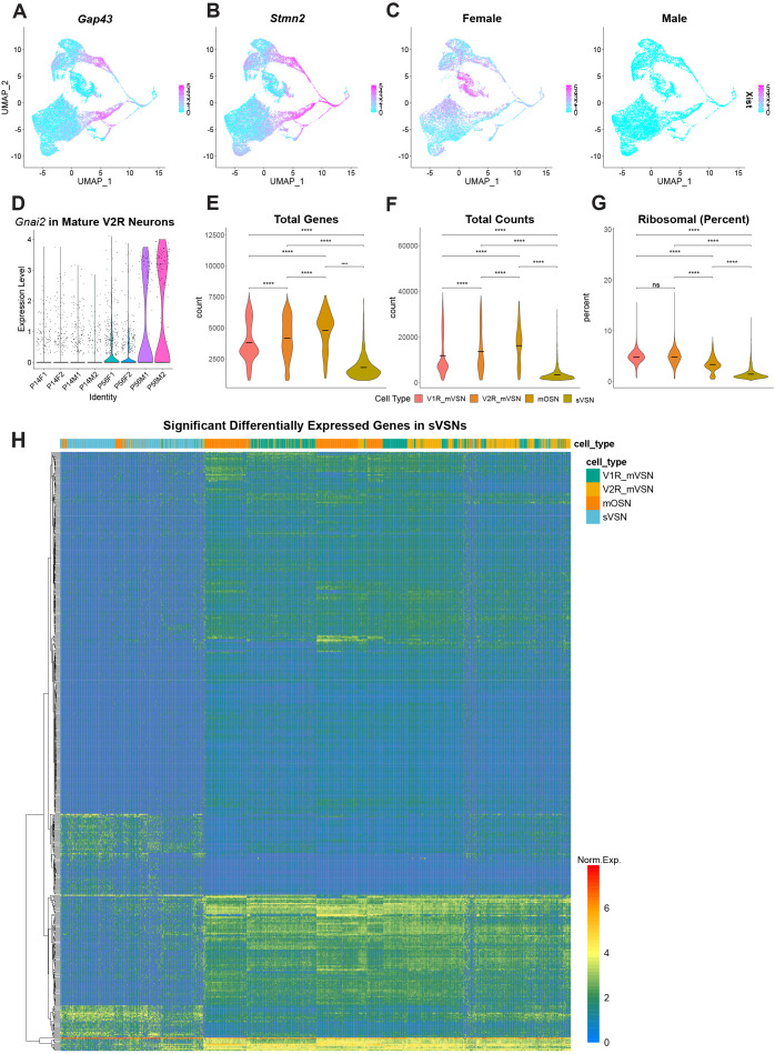 Figure 2—figure supplement 1.