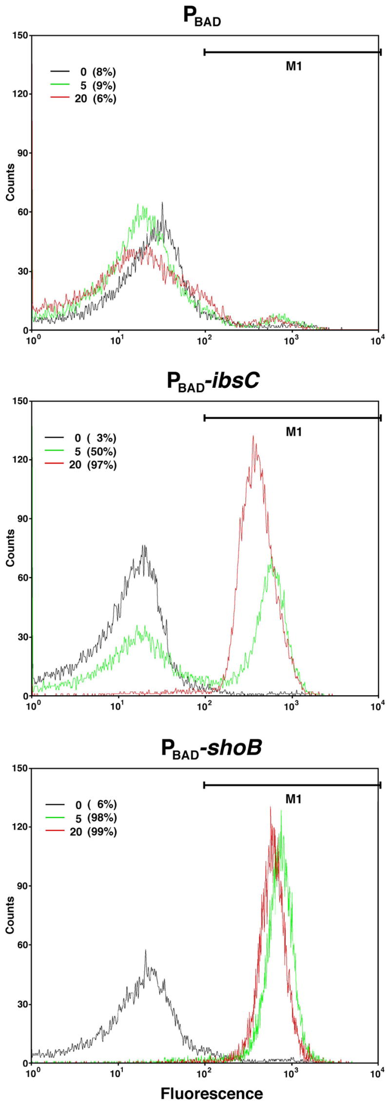 Fig. 6