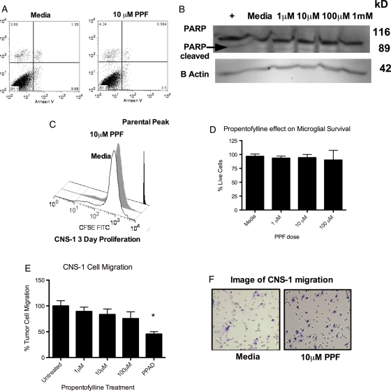 Fig. 2.