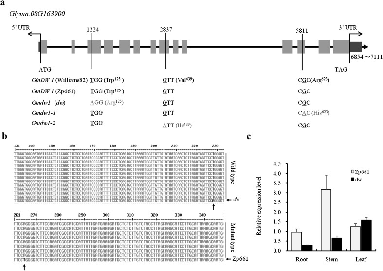 Fig. 4