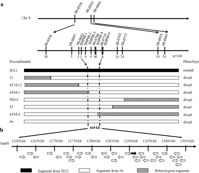 Fig. 3