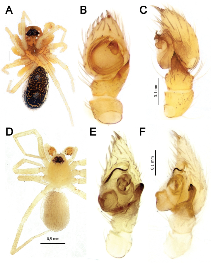 Figure 19.