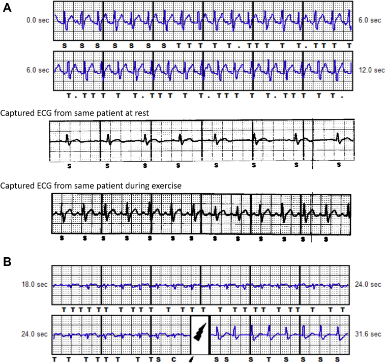 Figure 3