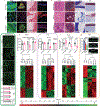 Figure 4 |