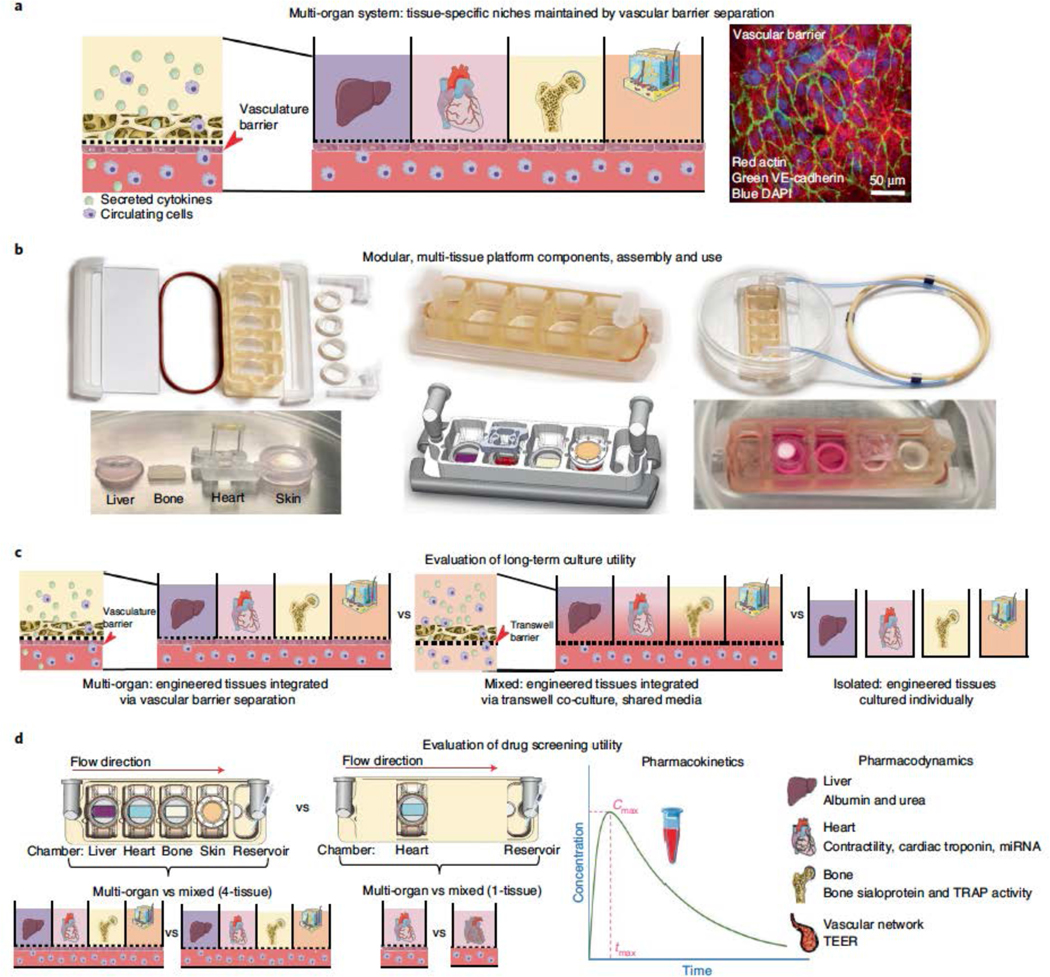 Figure 1 |