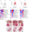 Extended Data Figure 7 |