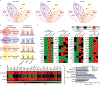 Figure 5 |