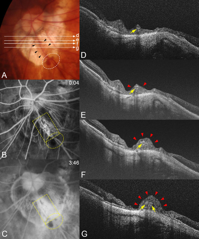 Figure 4.