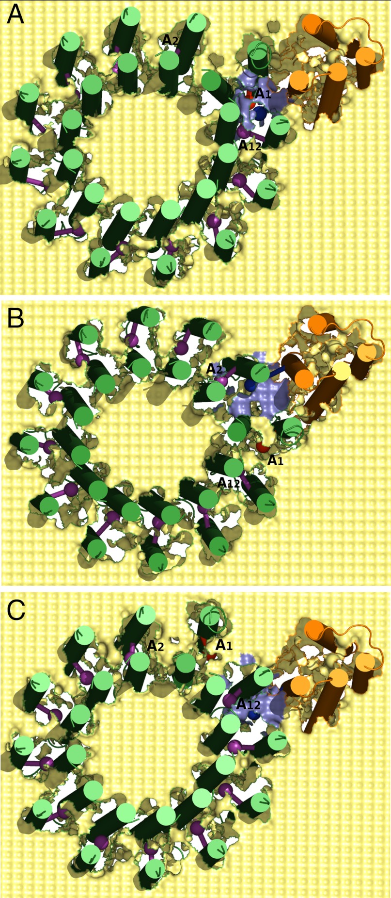 Fig. 2.