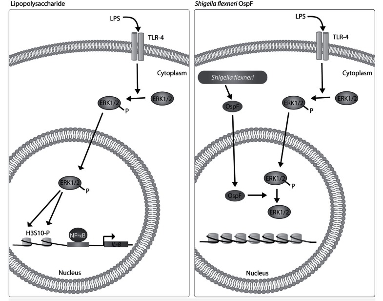 Fig. (3)