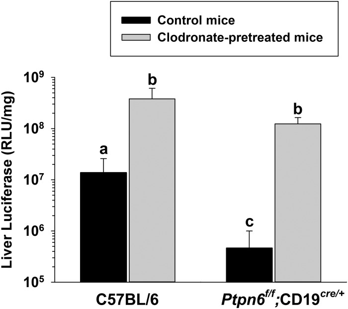 FIG 3