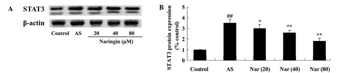 Figure 5.