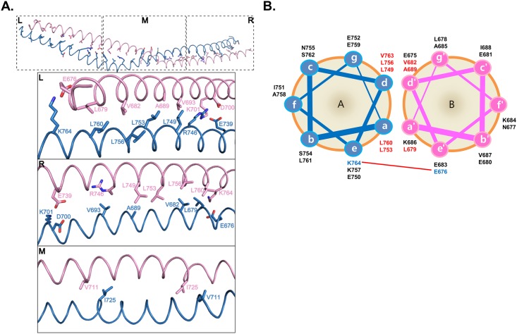 Fig 4