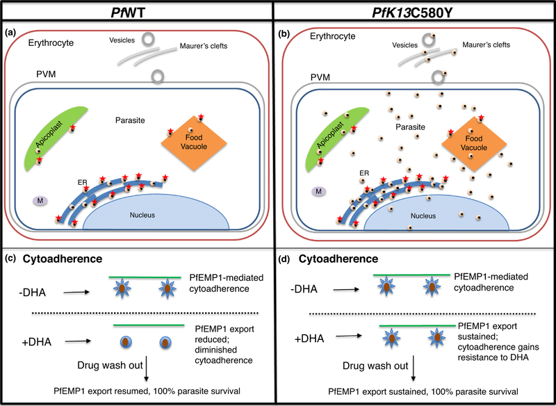 Figure 4: