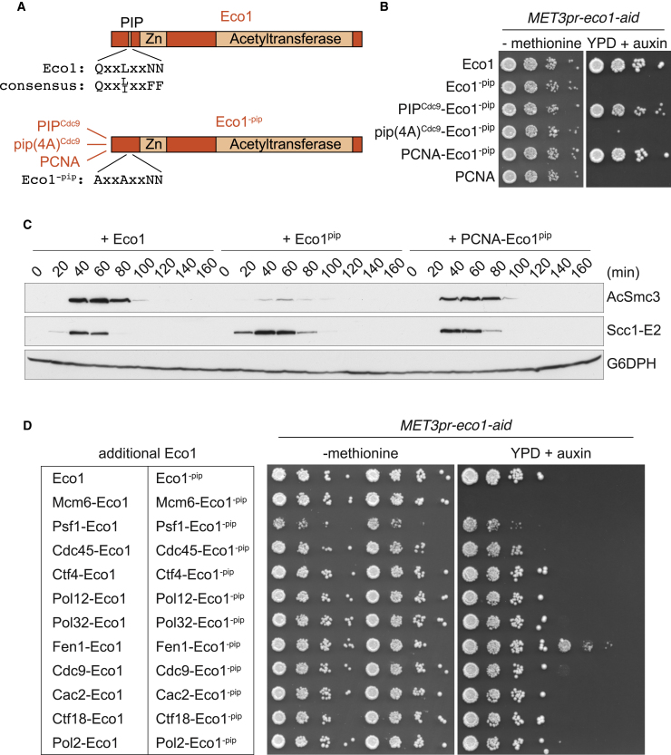 Figure 7