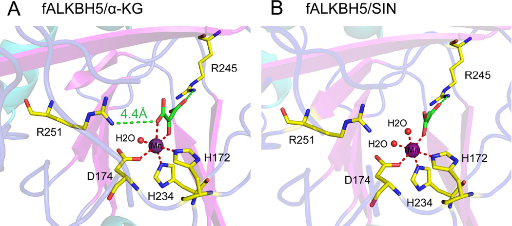 Fig. 4