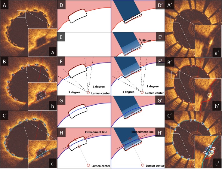 Fig. 1