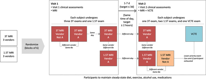 Schematic shows study procedures, including randomization to different blocks to ensure spread of participant data across all vendors and field strengths relatively equally. Each participant also underwent vibration-controlled transient elastography (VCTE) as part of the study. Imaging examinations were performed at approximately the same time each day and within 7 days of each other. B0 = field strength.