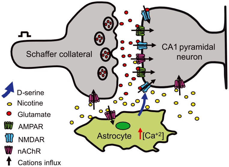 Figure 6