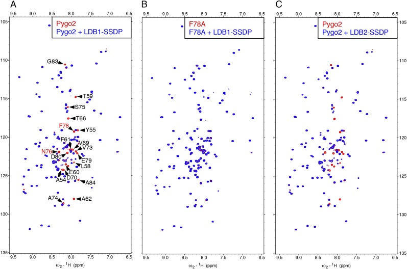 Figure 4—figure supplement 1.