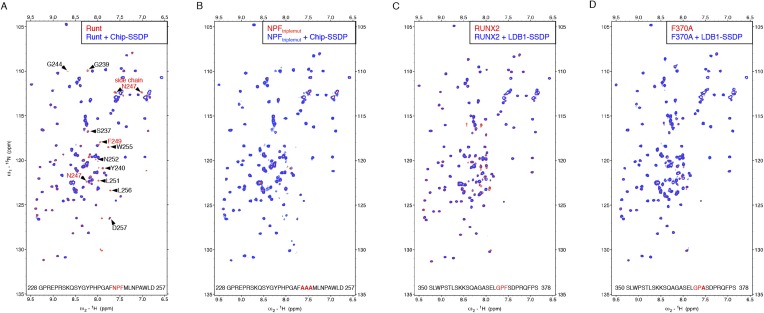 Figure 5—figure supplement 1.