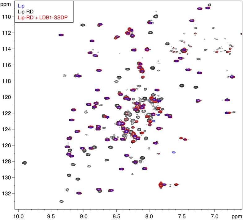 Figure 5—figure supplement 3.