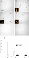 Figure 11.