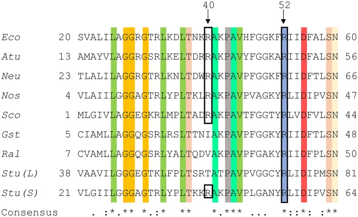 Figure 9