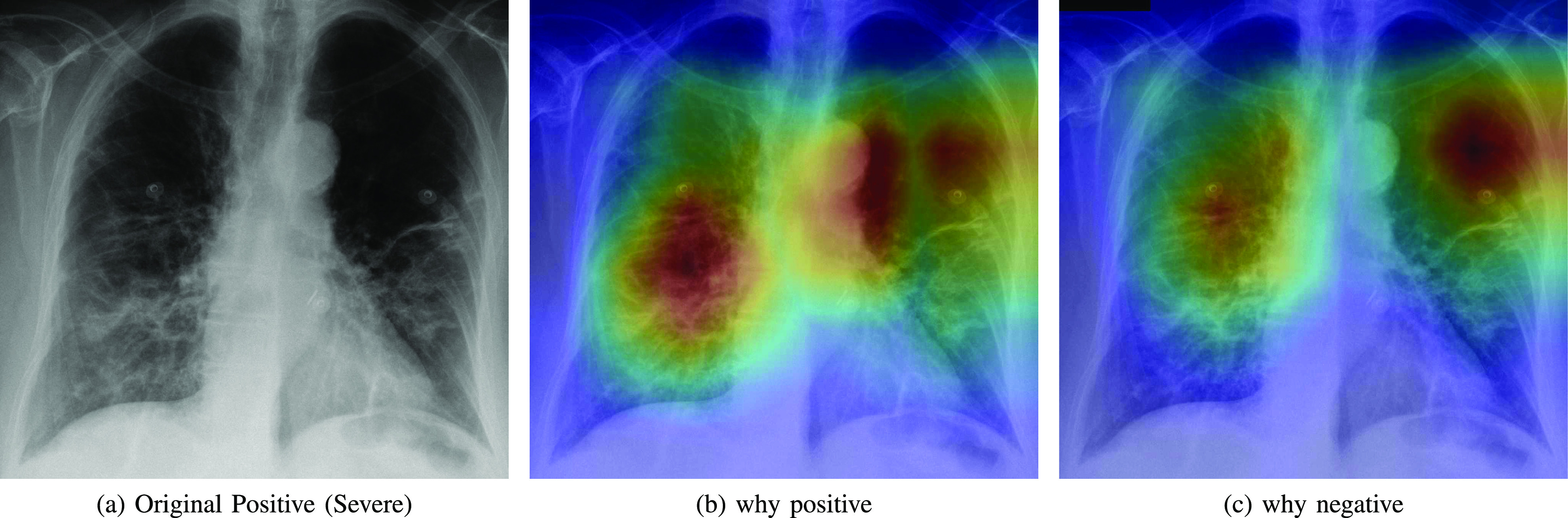 Fig. 7.