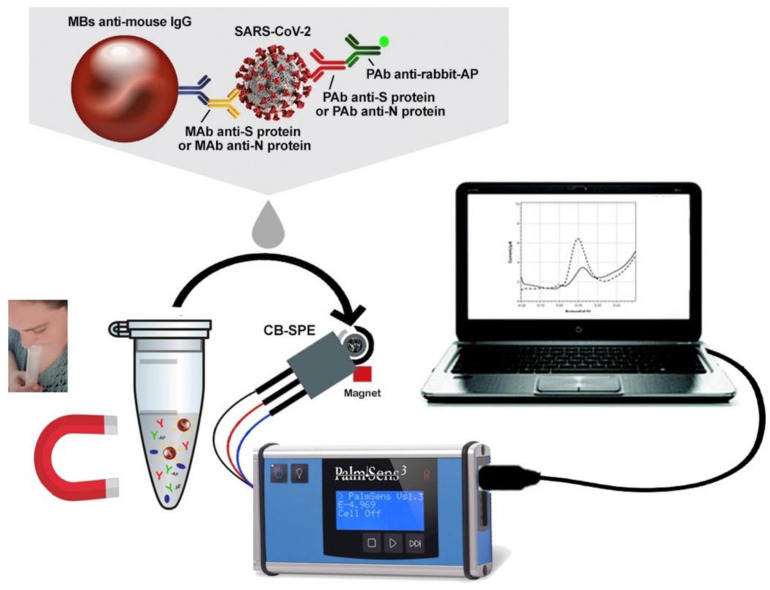 Figure 12