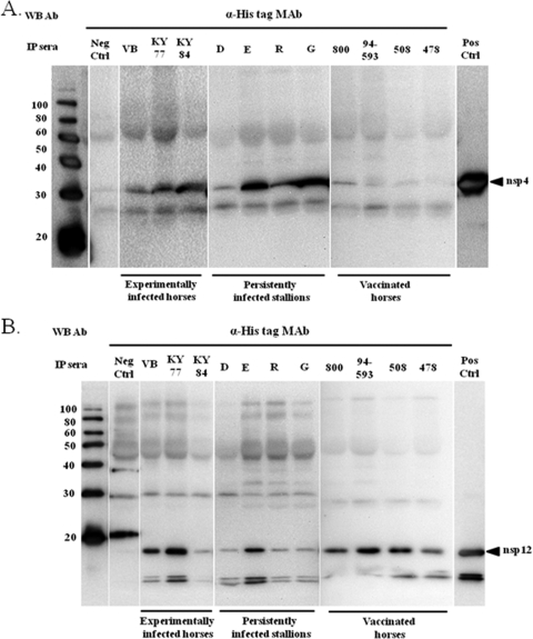 FIG. 5.