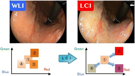 Fig. 1