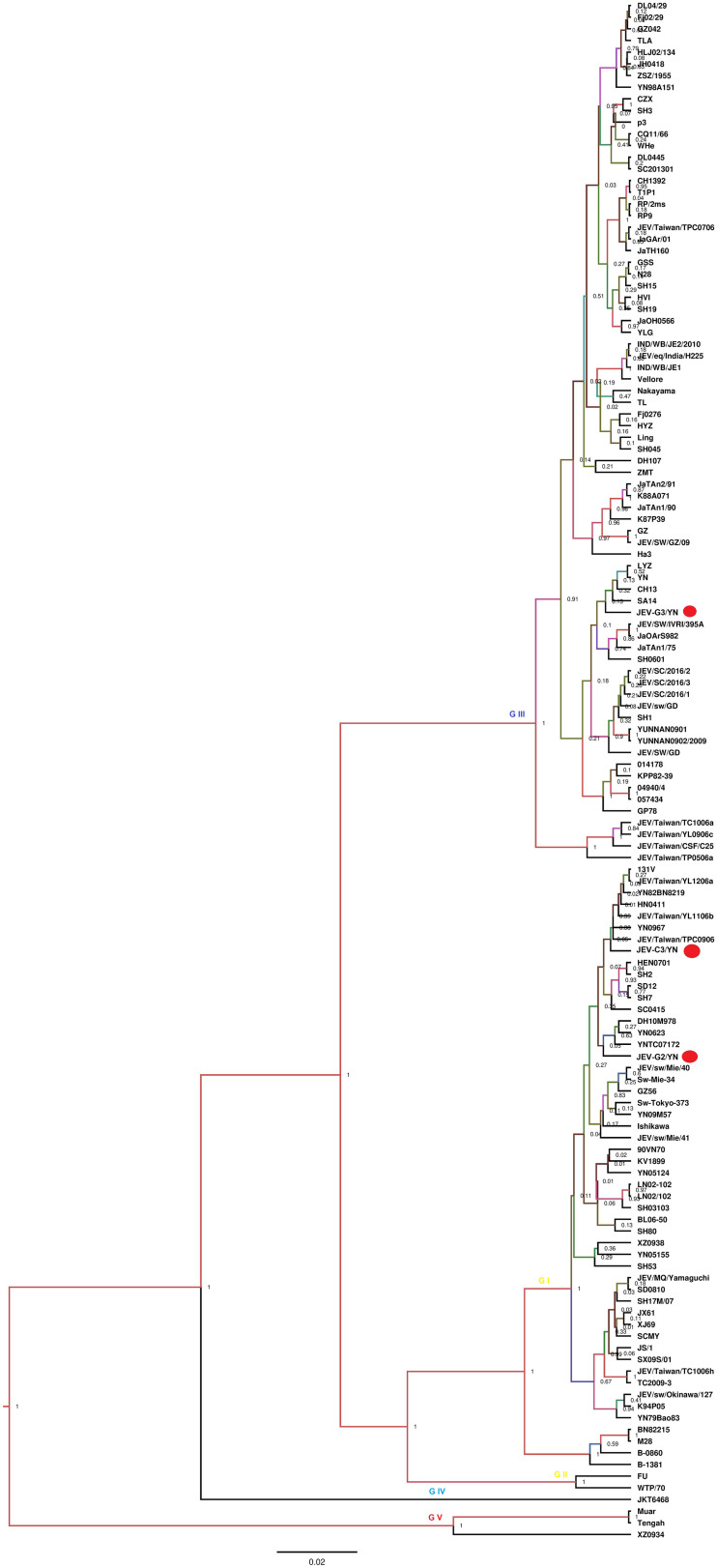 FIGURE 4