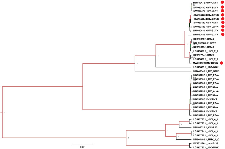 FIGURE 10