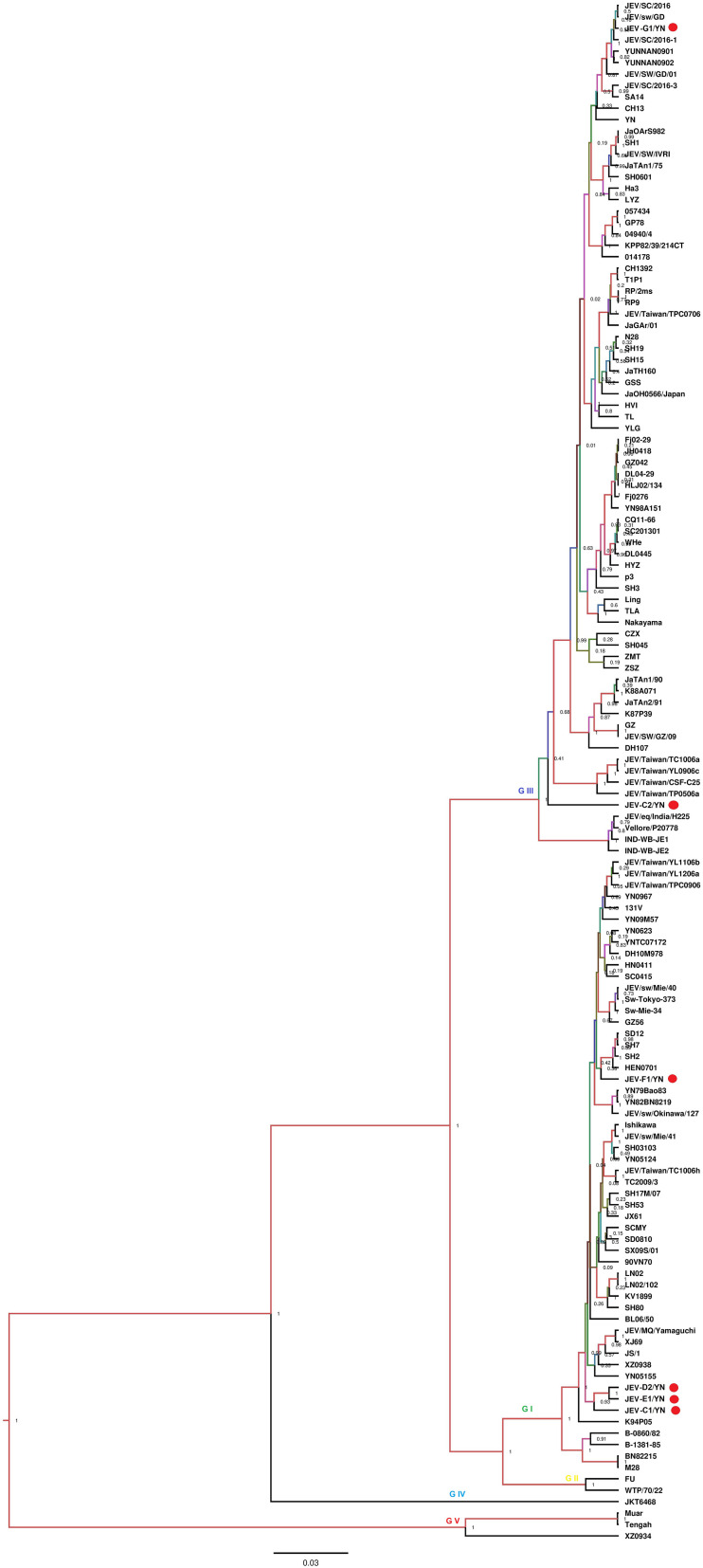 FIGURE 3