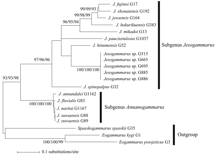Figure 3.