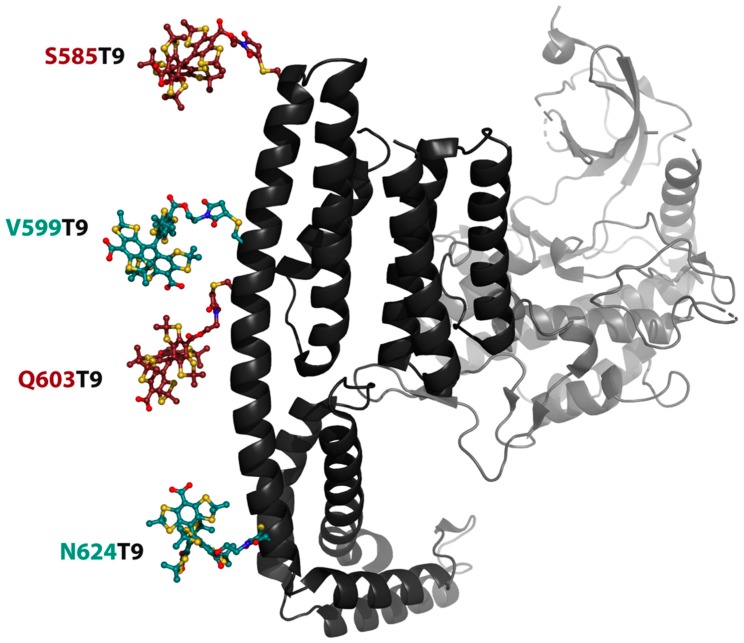 Figure 5