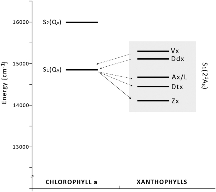 Figure 3.