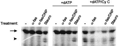 FIG. 11