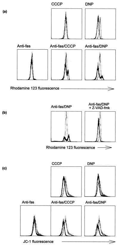 FIG. 9