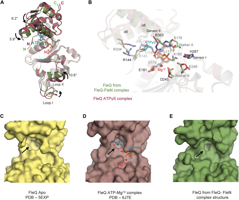 Fig. 3.